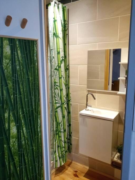 Apartamento Cosy Petit